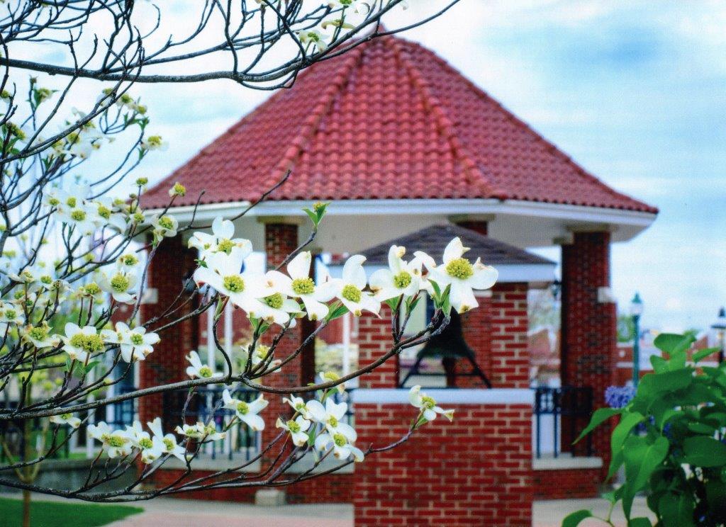 Orleans Dogwood Festival Just another WordPress site